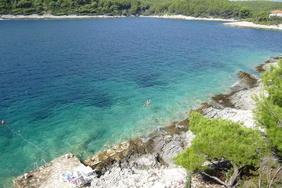 Villa with a pool on Korčula island